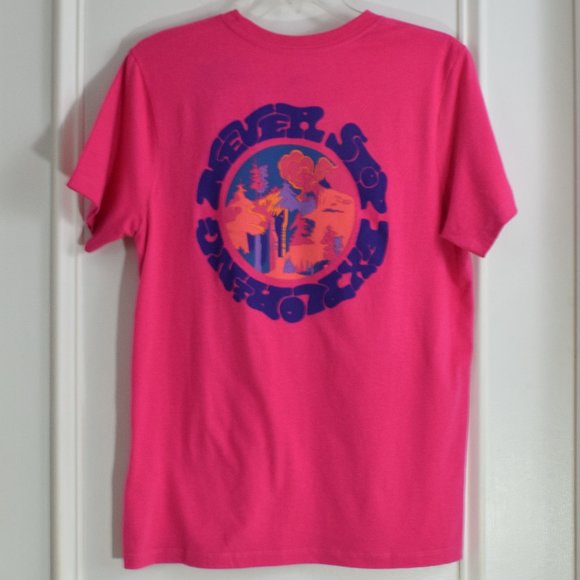 North Face Logo Haze Tee Retro 